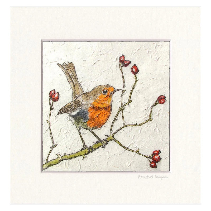 Robins and Rosehips