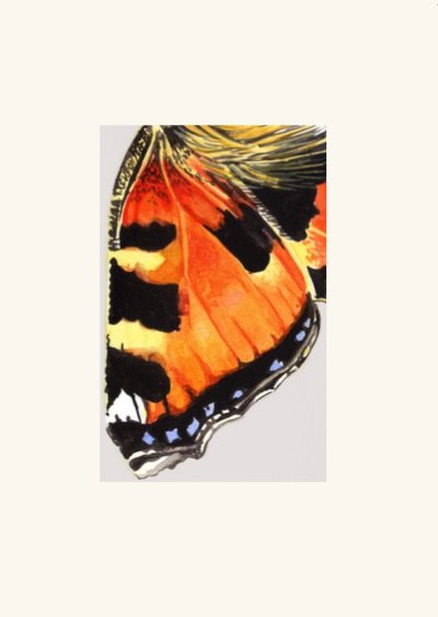 Abstract Butterfly Cards