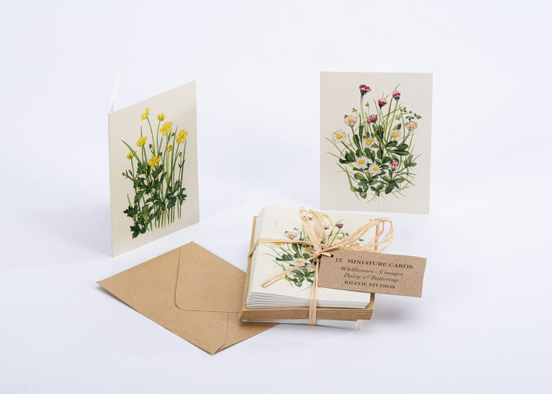Wild Flower Cards Pack x12