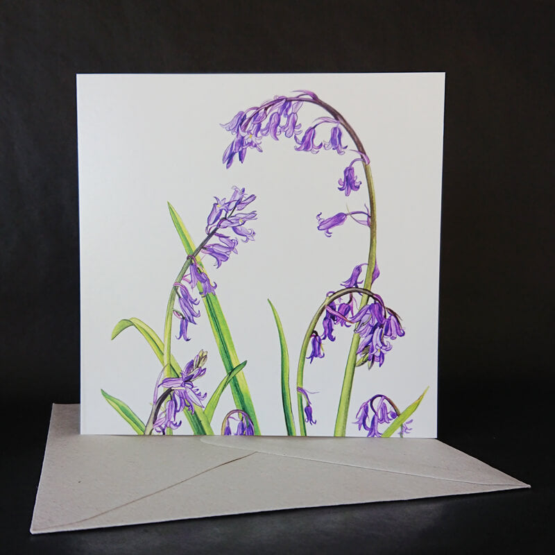 bluebell greeting card
