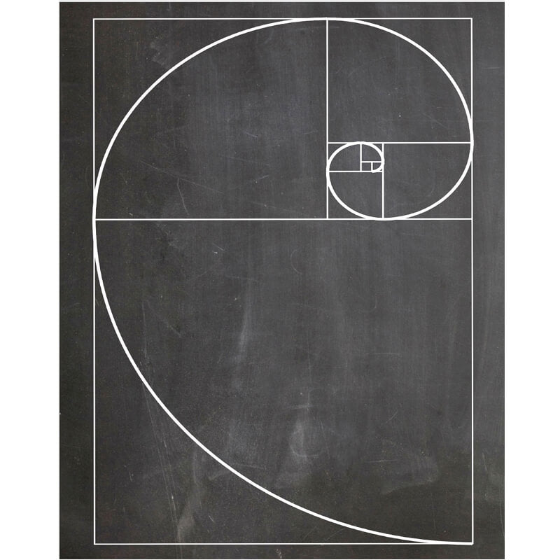Fibonacci spiral A2 poster