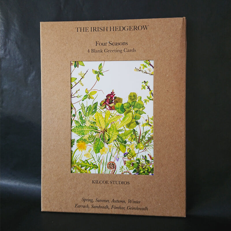 a pack of four greeting cards, each one featuring a different season in the irish hedgerow