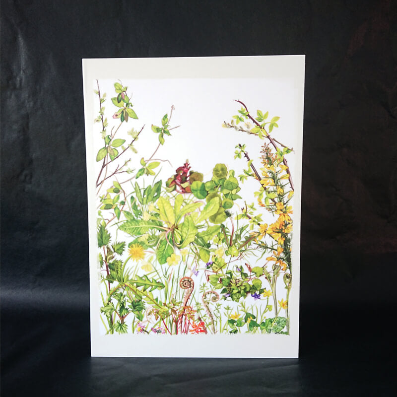 spring hedgerow greeting card