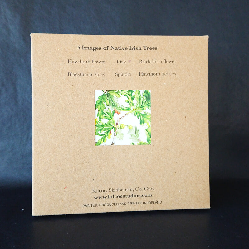 Six square greeting cards showing native irish trees and presented in a unique box.