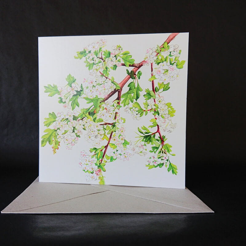 Pack of six native Irish tree cards