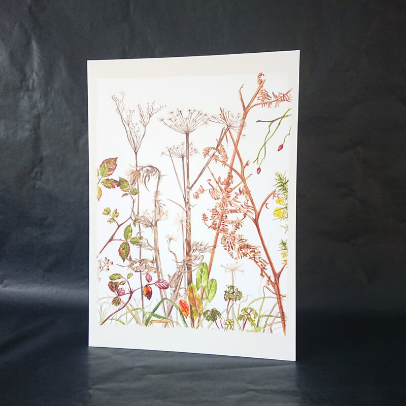 winter hedgerow card